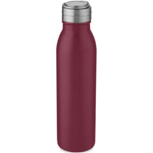 Harper 700 ml stainless steel water bottle with metal loop