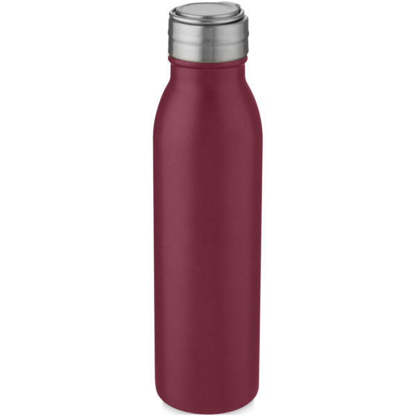 Harper 700 ml stainless steel water bottle with metal loop