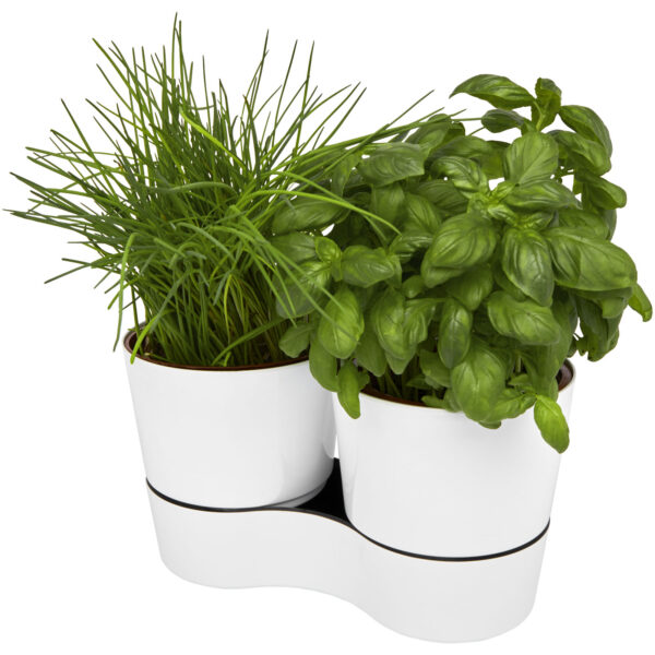 Herbs twin kitchen pot