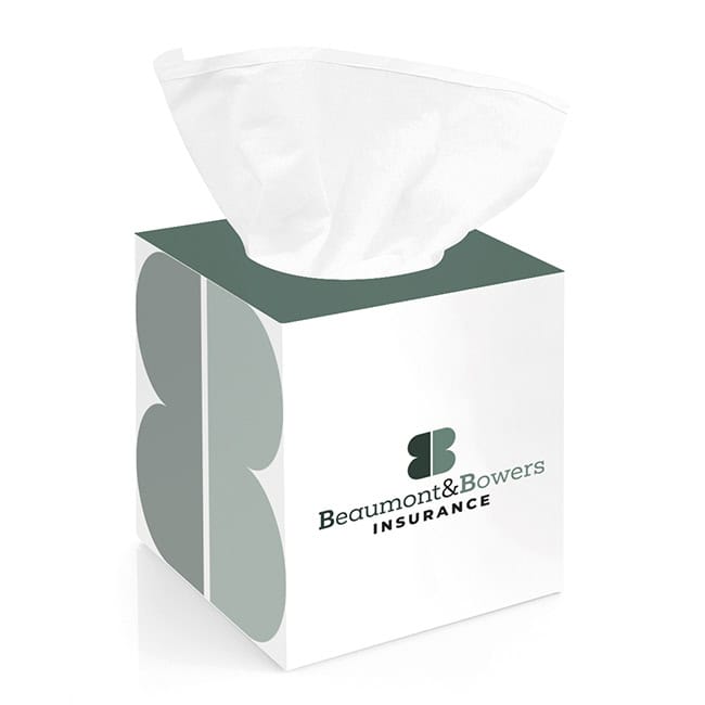 Box of 100 2-Ply White Tissues