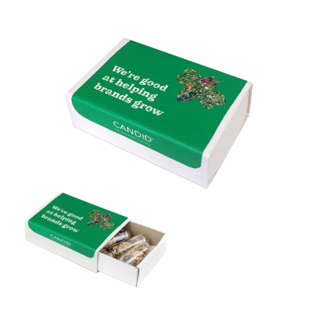 Candid Seed Pill Box