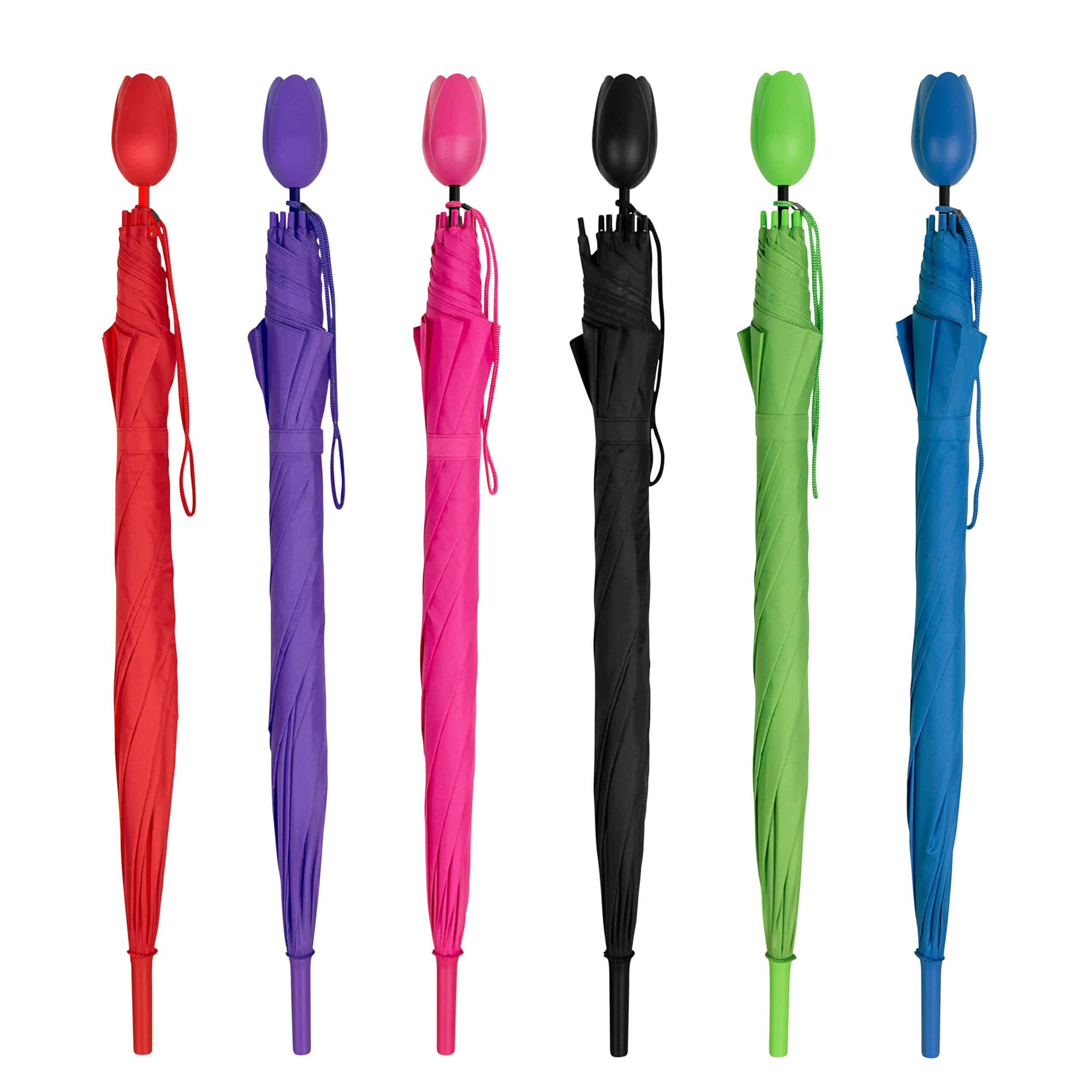 Impliva Falconetti Tulip