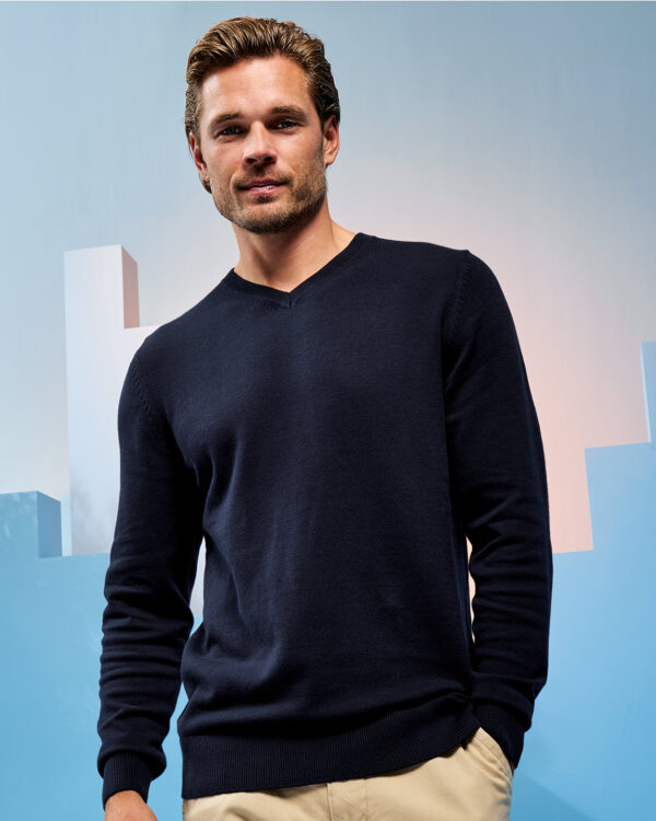 Men's cotton blend v-neck sweater