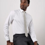 Executive premium Oxford shirt long-sleeved (classic fit)