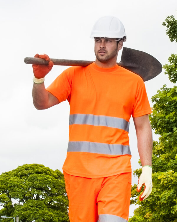 Cotton Comfort t-shirt (S172)