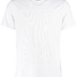 Cooltex® plus wicking tee (regular fit) White